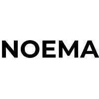 NOEMA Digital Communication Ltd. logo - Similar company to Raidsonic Technology Gmbh