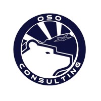 OSO Consulting logo - Similar company to Alpha Dog Venture Group