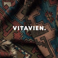 Vitavien NL logo - Similar company to De Financer