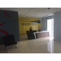 PX (Tianjin) Software Development Company, LLC logo - Similar company to Wuhan Px Machinery Trading Co.,Ltd