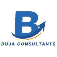 BUJA consultants logo - Similar company to Digitwise
