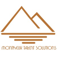 Montreux Talent Solutions logo - Similar company to Gt Joysticks Ag