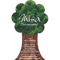 Misa International logo - Similar company to Zebra Imaging