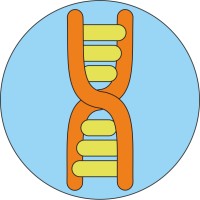 Emergencei