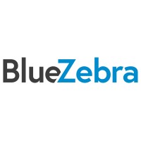 BlueZebra logo - Similar company to Bluezebra Co., Ltd.