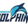 Dolphin Swim Team logo - Similar company to Surry County Economic Development Partnership
