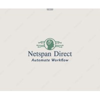 Netspan Direct logo - Similar company to Solved It Inc.