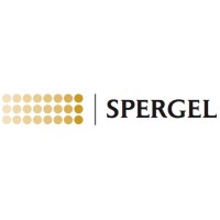 Spergel Corporate Finance Inc. logo - Similar company to Lenderportal