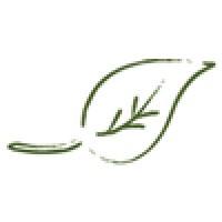 Natural Way Chiropractic