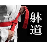 Martial Arts Specialist logo - Similar company to The Banman Perspective