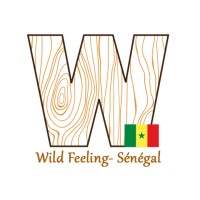 Wild Feeling-Sénégal logo - Similar company to Dvgnt Divergent