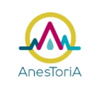 Anestoria logo - Similar company to Wisetic