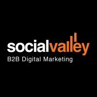 SocialValley logo - Similar company to Vīdl Life