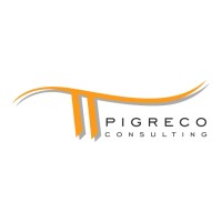 PIGRECO CONSULTING SRL logo - Similar company to Finengine Srl