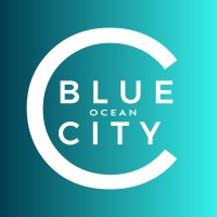 Blue Ocean CITY logo - Similar company to Ann-Connect