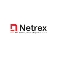 NETREX logo - Similar company to Freedom Software And Testing