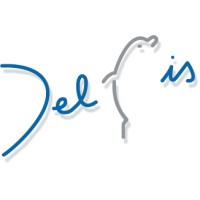 Delfis logo - Similar company to Redmac