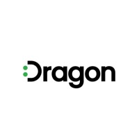 Dragon Agency logo - Similar company to Bluestorm Digital