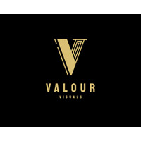Valour Visuals logo - Similar company to Kubiko Playgrounds