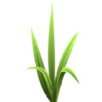 Grassroots Branding & Web Design logo - Similar company to Step By Step Recruitment Limited