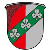 Stadt Felsberg logo - Similar company to Hansevision