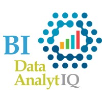 BI Data AnalytIQ logo - Similar company to Bidata