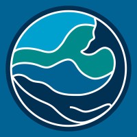 Blue Wave Behavioral Health logo - Similar company to Mind By Design Inc