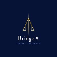 BridgeX logo - Similar company to Diamond Learning Center