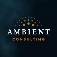 Ambient Consulting logo - Similar company to On-Demand Group