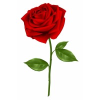 Rose Talent Partnership logo - Similar company to Yourcvvideo.Com Ltd (Yourcvvideo.Com & Yourresumevideo.Com)