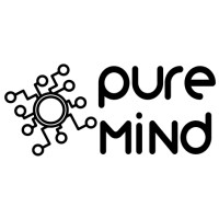 PureMind logo - Similar company to Puremind Advising Services