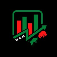 Bears 'n' Bulls ( The Official Trading Club of NIT Rourkela ) logo - Similar company to Vriddhi Nit Rourkela