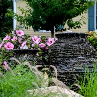 Louis Contino Landscaping, Inc