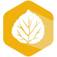 Aspen Shadow logo - Similar company to Quilify