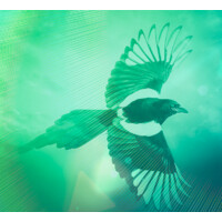 Blockchain for Indigenous Rights International (BIRI) logo - Similar company to Urban Indigenous Health & Healing Cooperative