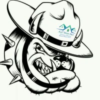 A2Z Wash Pros Exterior Services logo - Similar company to A+ Window Cleaning Services Llc