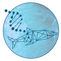 Science Saves Sharks logo - Similar company to Kitu Kiblu