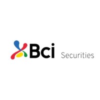 Bci Securities logo - Similar company to Wanderlust Properties