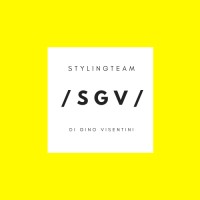 Stylingteam di Gino Visentini logo - Similar company to Solutioo Group