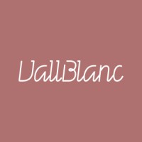 VallBlanc Espai Dental i Fisiotàpia logo - Similar company to Bcn Pid Foundation