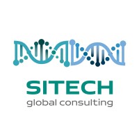 Sitech-Global Consulting logo - Similar company to Lux Tv
