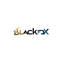 Blackfox Security logo - Similar company to Blackfox