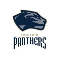 South Dublin Panthers American Football Club logo - Similar company to Views Football Club