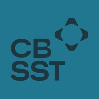 CBSST EXPERT-CONSEIL logo - Similar company to Vision Palyson