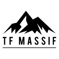 TF Massif Technologies Ltd. logo - Similar company to Junction Studio
