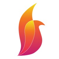 Rise BN logo - Similar company to Falcon Tech