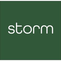 STORM.it logo - Similar company to Gestimm S.P.A.