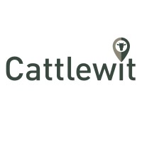 Cattlewit