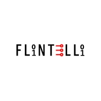 Flintelli Technologies logo - Similar company to Febno Technologies