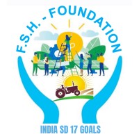 FSH Foundation logo - Similar company to Djc Solutions Llc